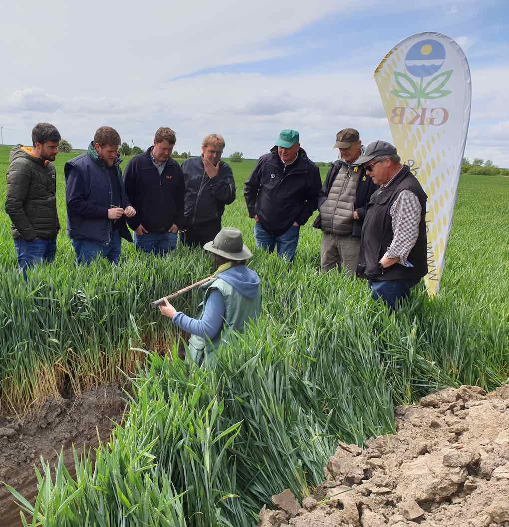 Soil Evolution - Von Praktikern fuer Praktiker